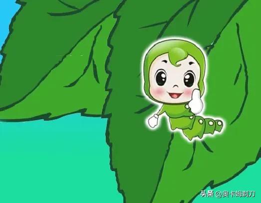 蚕的生命意义到底是什么？