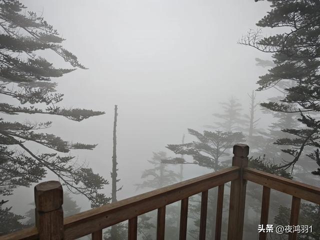 徒步瓦屋山,太艰难了,坚持下来不容易
