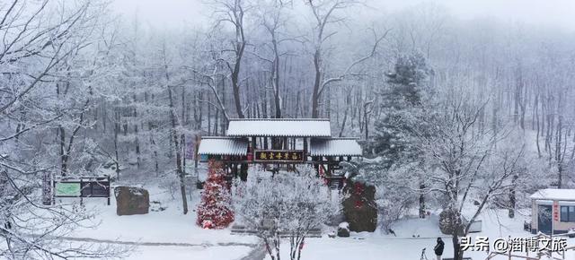 正式开启!淄博人有自己的“雪乡”了,已经美成童话!
