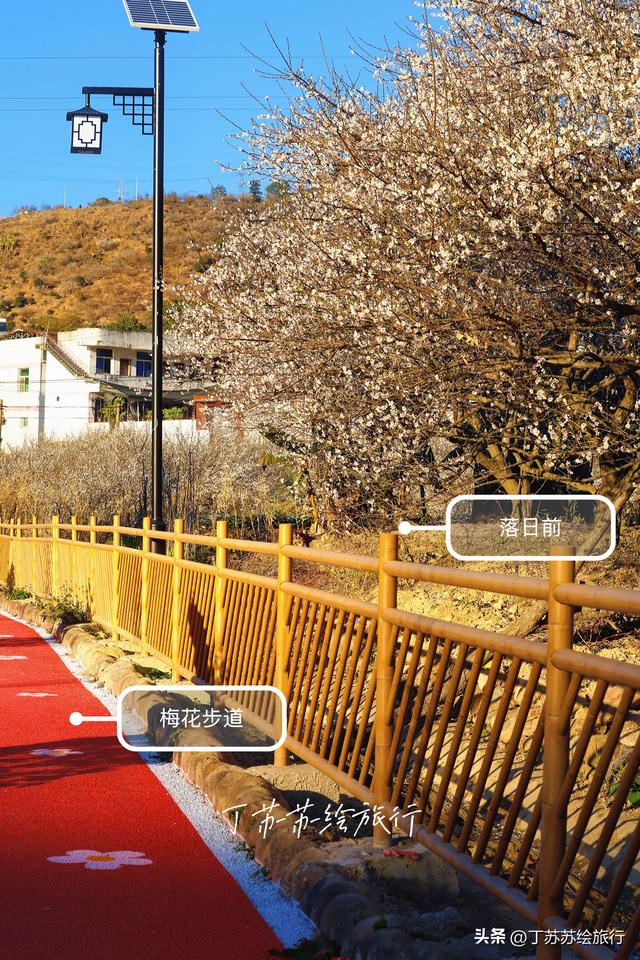 永泰赏梅花期最后10天新发现彩虹路 梅花道‼️穴利轻松游