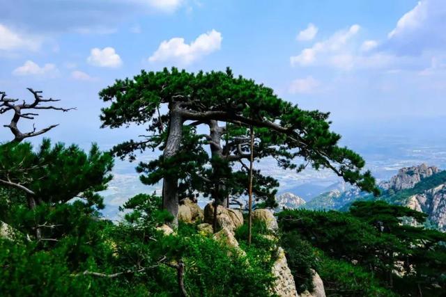 泰山之巅：风云变幻里的华夏印记