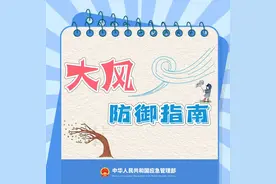 局部8级以上偏北风！淄博发布大风黄色预警图片