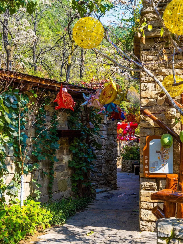 跟着赛事游临汾 | 2025第六届“临汾·520黄河英雄会”轰趴巡游全攻略