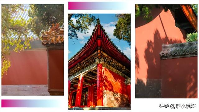 咔嚓🤳！抓住济宁秋天的“小尾巴”~