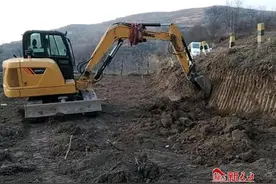 清水县远门镇：改造老旧果园 发展特色产业图片