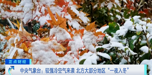 雨雨雨！雪雪雪！骤降10℃！“断崖式”降温，来了