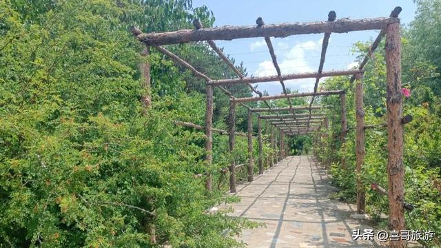 周末逃离计划|双辽私藏绿野仙踪，森林覆盖率95.7%，距市区10公里