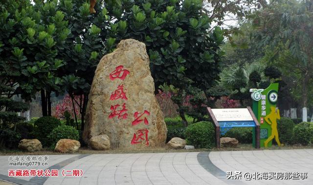 逐个数一数北海现在颇有名气的越冬旅居“候鸟乐园”