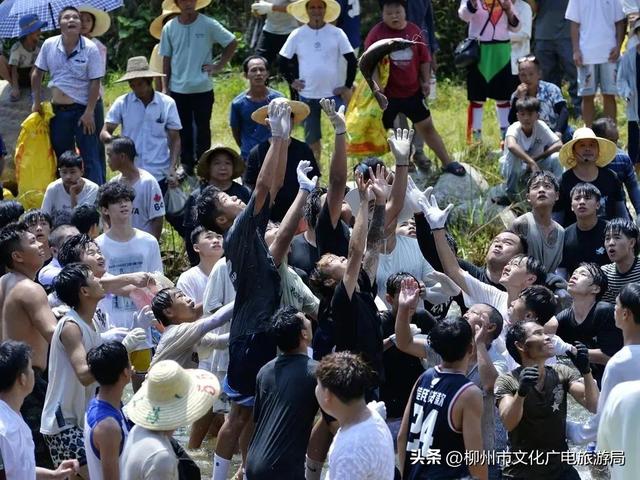 龙城今夏变“顶流”！柳州暑期“热力值”爆表