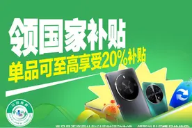 2025年各省份手机等国补政策汇总图片