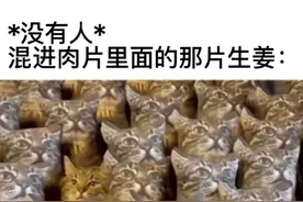 meme梗图：混进肉片里面的那片生姜图片