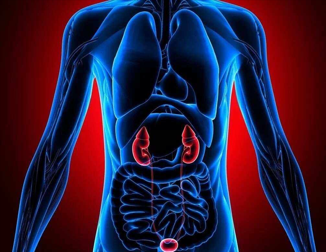 男人吃什么可以补精养肾？5类食物+3个习惯，效果远超昂贵保健品