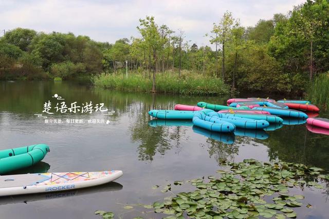 浙江宁波最受欢迎的粉黛园，其实没那么美，但周边的风景很值得游