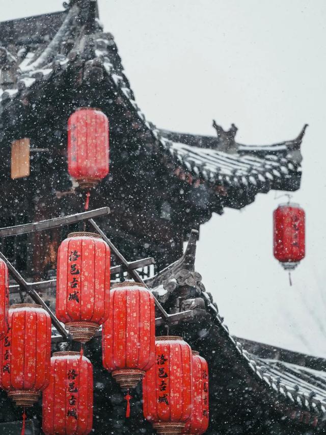 即将下雪！雪后的洛阳这么拍！8个超美打卡点...