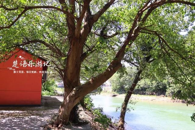 浙江宁波这两处风景相距百米，曾经是最红的玩水地，适合休闲纳凉