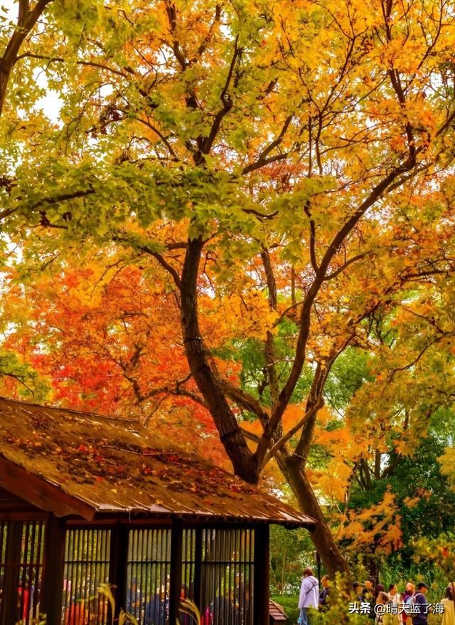 盘点——中国秋色最美风景所在地：总得去一个没去过的地方！