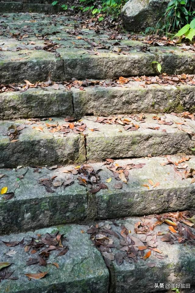 到底要怎么走出浪浪山，答案是→