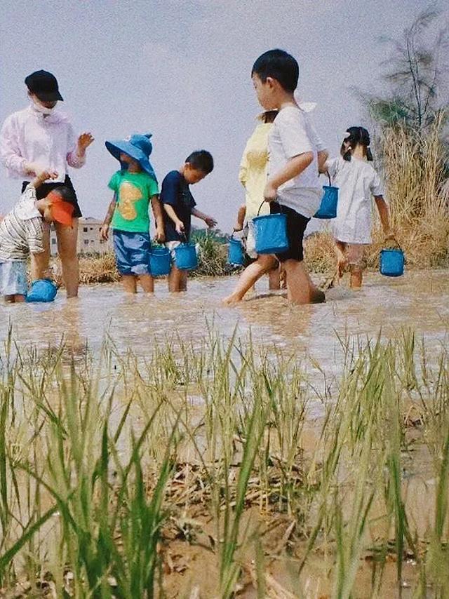 牛耕、捉泥鳅、长桌宴......厦门这片田园,承包你整个夏天的快乐!