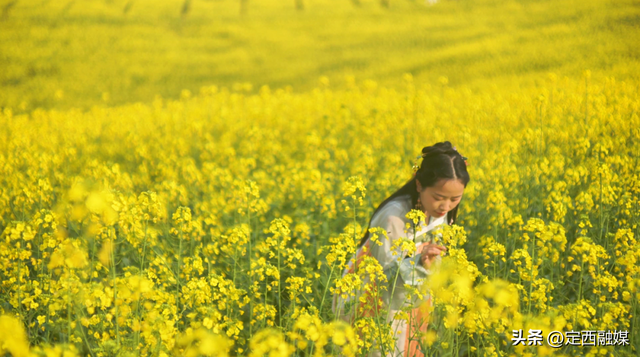 在你眼中，定西夏天的颜色是_____？