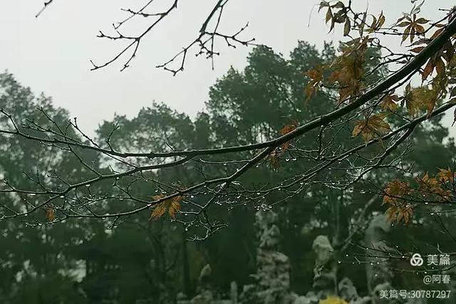 雨中看姑苏