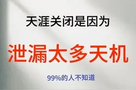 天涯神贴…………图片