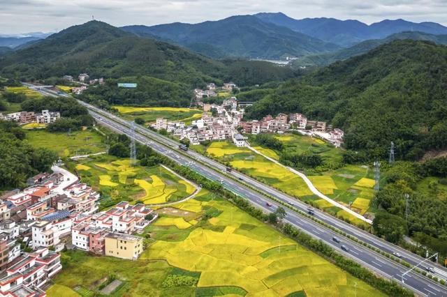 秋日限定！速来围观肇庆的绝美风光~