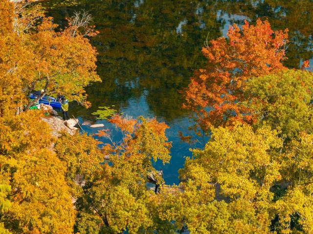 报!天平山红枫已进入变色期