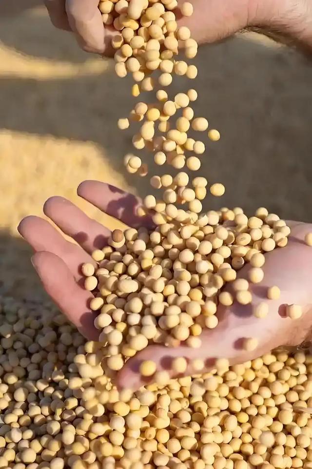 特朗普赚大了，中美刚谈完，巴西、印度传来大消息，有望达成协议