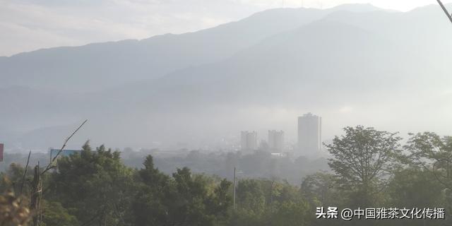 吾在米易过去冬天