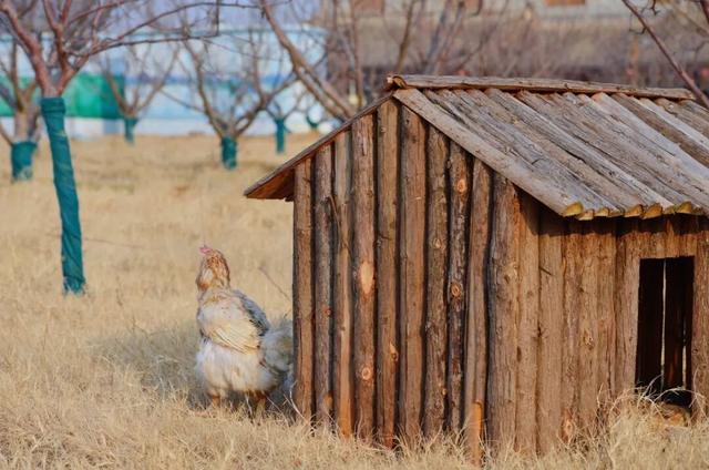 报！开封又上新了~