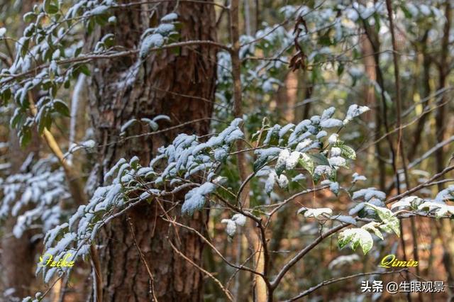 影记 | 衢州钱江源国家森林公园