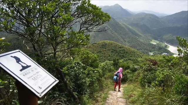 男子徒步西贡误入“异空间”？昏睡、幻觉、迷路，最终结果如何？