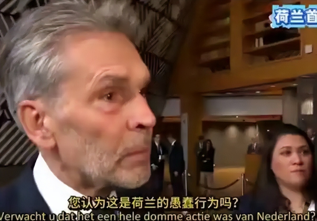 欠中企10亿！荷兰对华工厂断供，报应来了，荷兰首相要被赶下台了