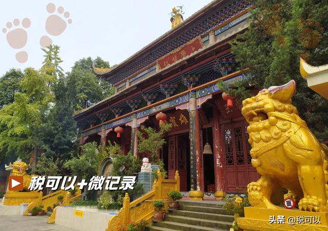 游郫都平乐寺：君平故里寻古意，一碗素茶享清幽