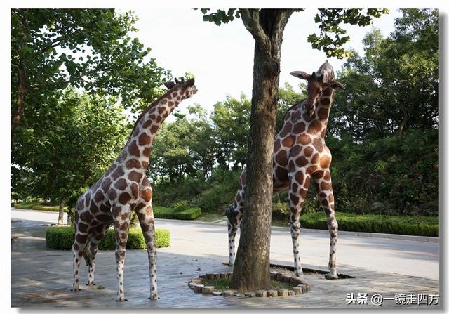 大连滨海路终点的海之韵公园