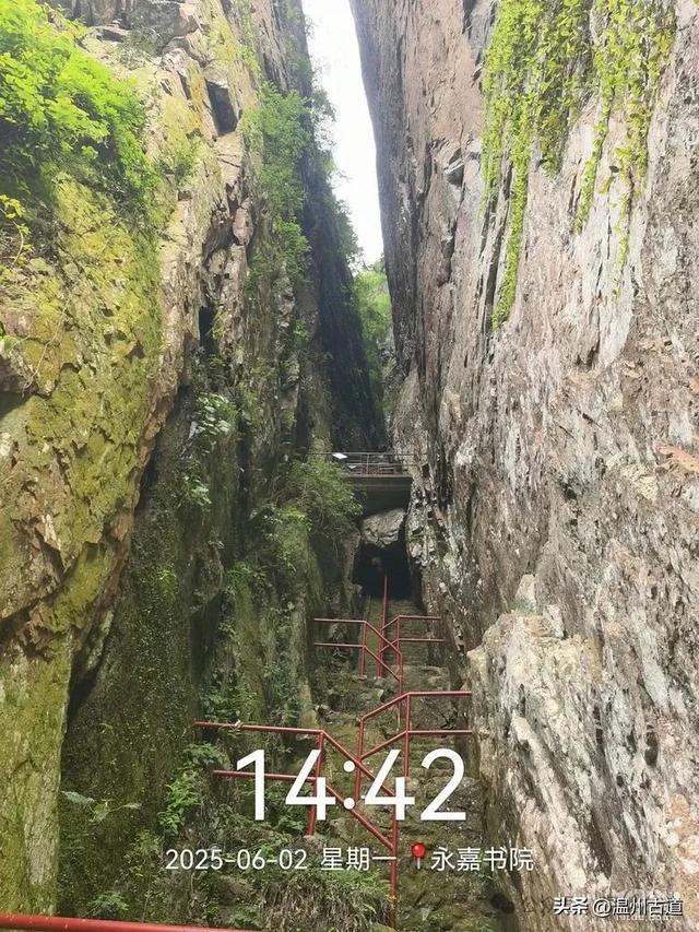 暑假倒计时!温州这几处好玩的地方你都去过了吗?