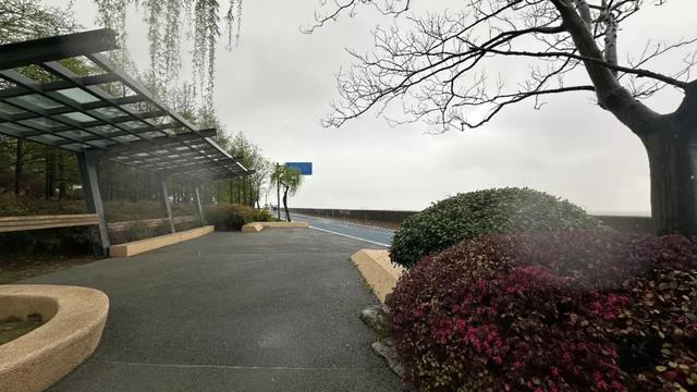 6.8km江岸秘境，去通江达海的宝山滨江，享受Chill生活