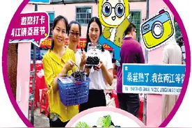 儿时乐趣摘桑葚再度受宠！桂林各果园客人络绎不绝图片