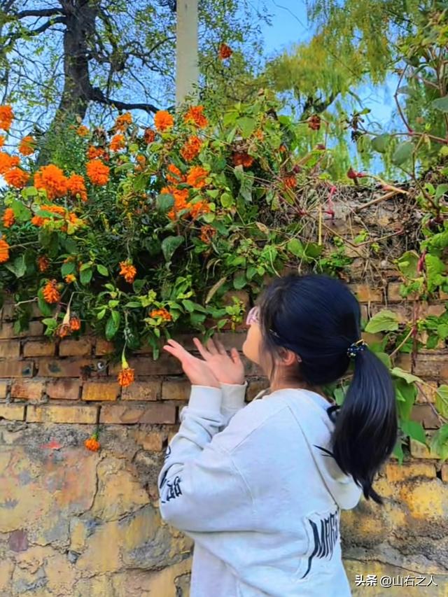 交城文峪河畔惊现“滨海盛景”，南堡村一夜爆红引万人打卡！