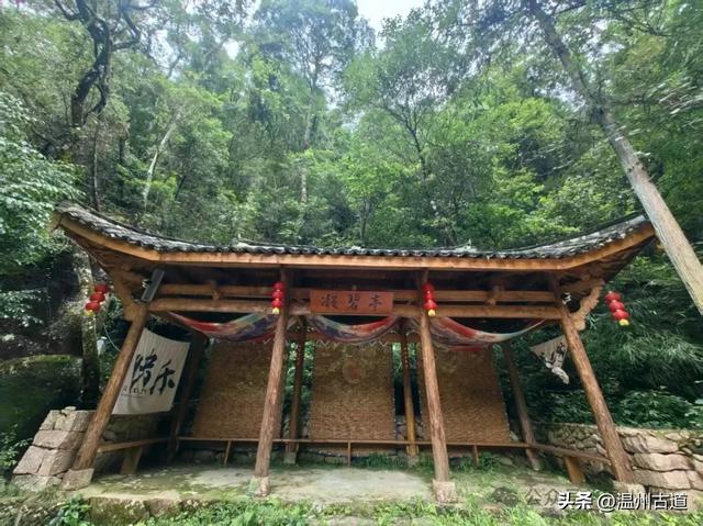 温州这个以畲族始祖命名的4A级景区，秘藏着一座“生物王国”！