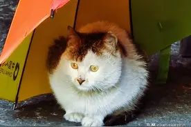 农村家族逐渐衰退，终于理解为何广东福建等地一定要生儿子了！图片