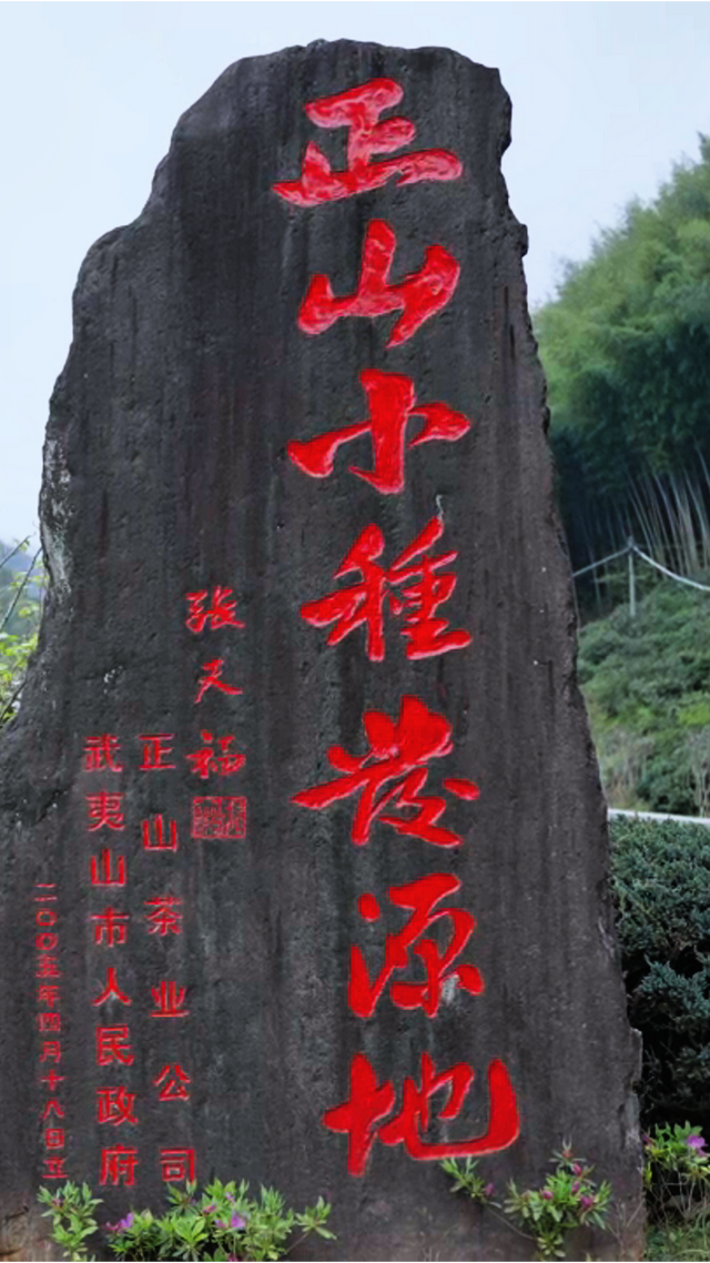 入境首选~240小时免签玩转武夷山 | Hello，World！武夷山欢迎你