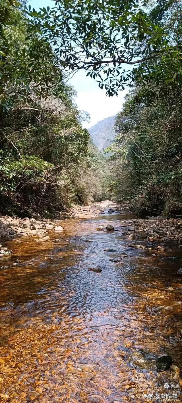 探秘楠溪江源头，深山中的秘境！