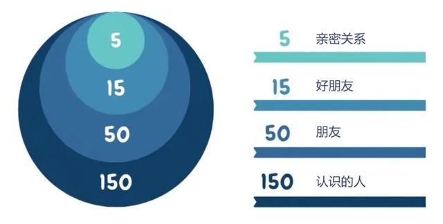 颠覆认知！10厘米小鸟竟有三层朋友圈，社交逻辑和人类神同步？