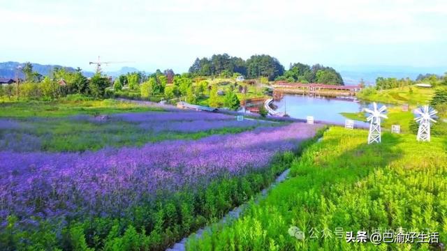 重庆綦江袖珍小镇：近主城、似“空调”，避暑人比全镇人还多！