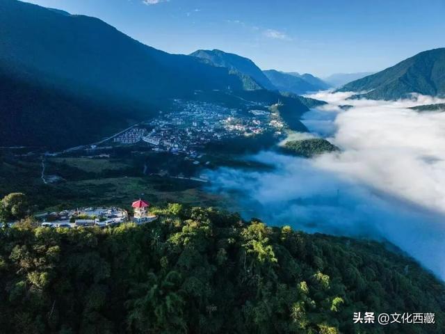 公开招募！西藏墨脱超多体验官招募项目已上线！速来报名！