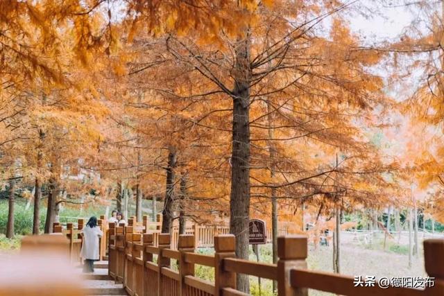 最新实拍!德阳东湖山都美成啥样了啊?太夸张了