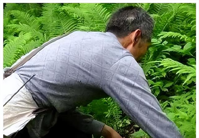 浙江深山发现大量黄金，洞口附近还有人骨，专家：山洞里黄金更多
