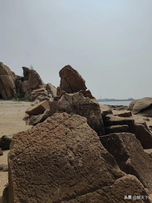 鲅鱼圈又一景区获评国家3A级！