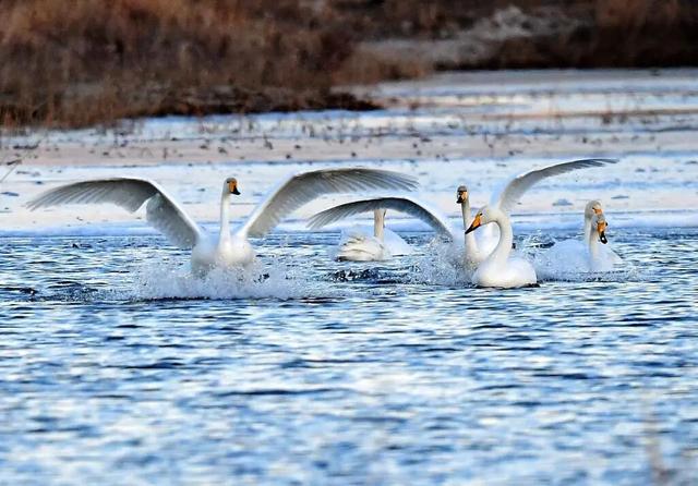 图游天下|去哪儿玩？高清组图，晒出打卡好地